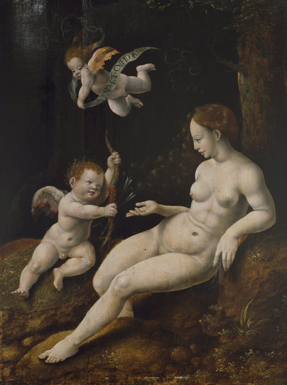 Wenus i dwa amorki, ok. 1528 (olej na panelu) autorstwa Jan van Scorel