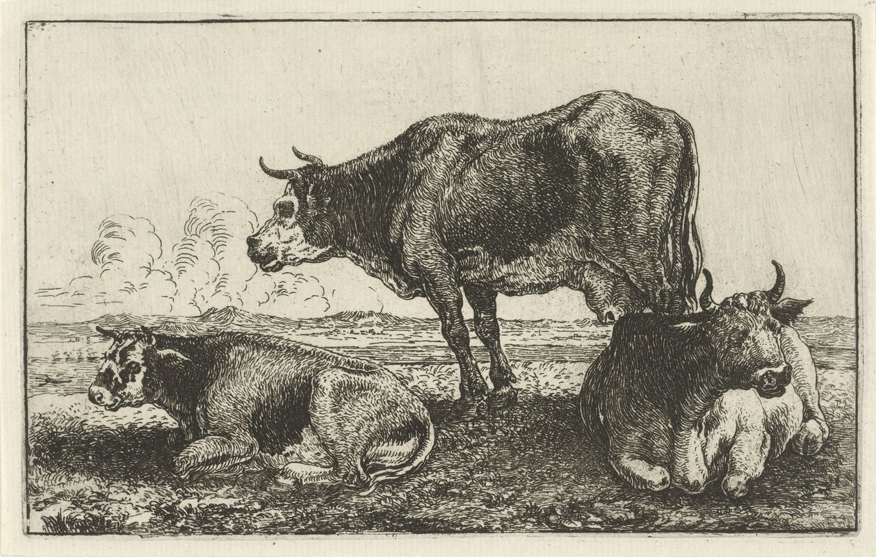 Trzy krowy Zwierzęta (tytuł serii) Zoografia (tytuł serii) autorstwa Jan van den Hecke