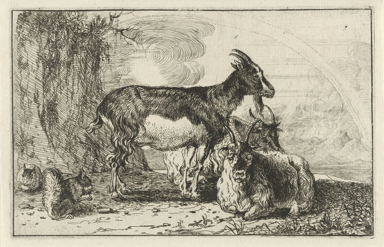 kozy Zwierzęta (tytuł serii) Zoografia (tytuł serii) autorstwa Jan van den Hecke