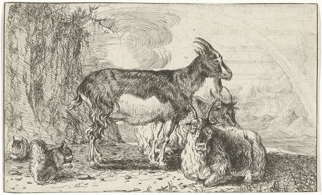 kozy Zwierzęta (tytuł serii) Zoografia (tytuł serii) autorstwa Jan van den Hecke