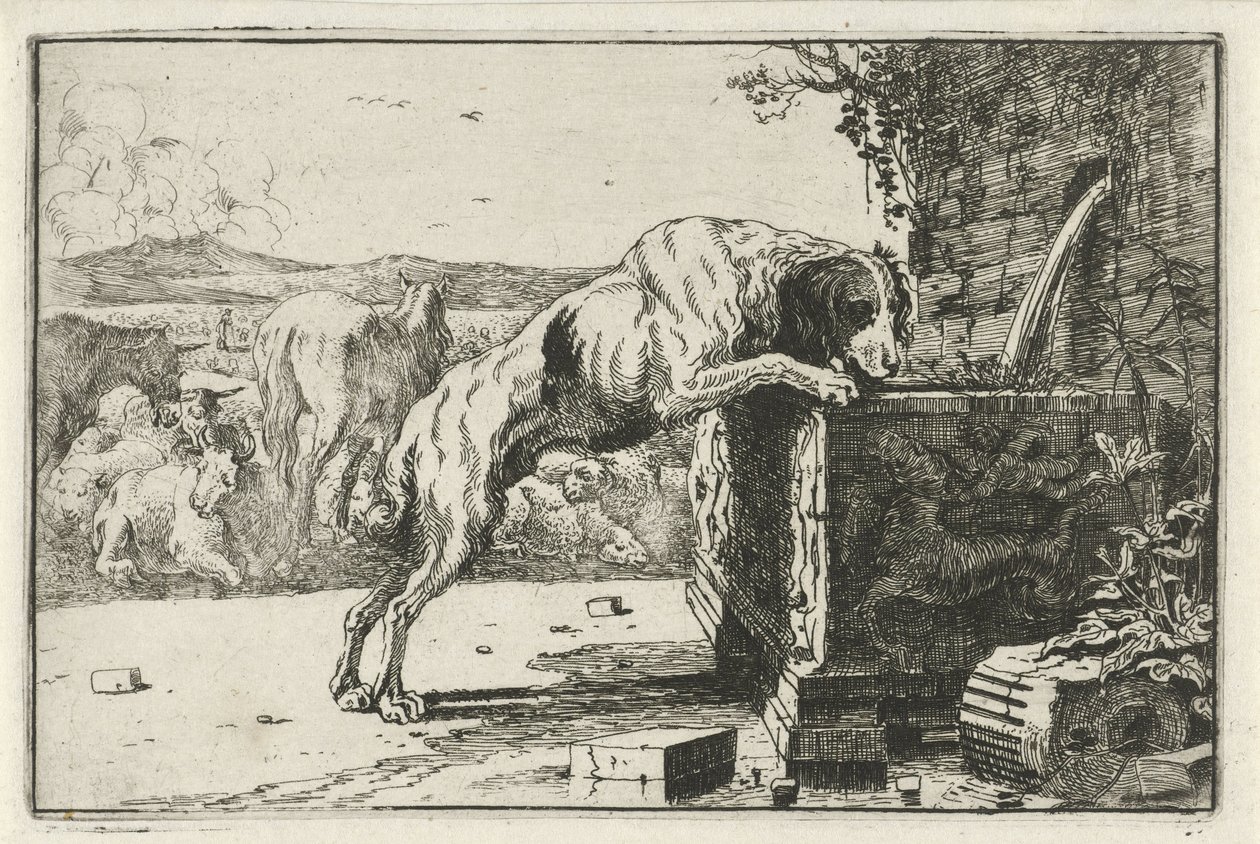 Pies przy fontannie Zwierzęta (tytuł serii) Zoografia (tytuł serii) autorstwa Jan van den Hecke