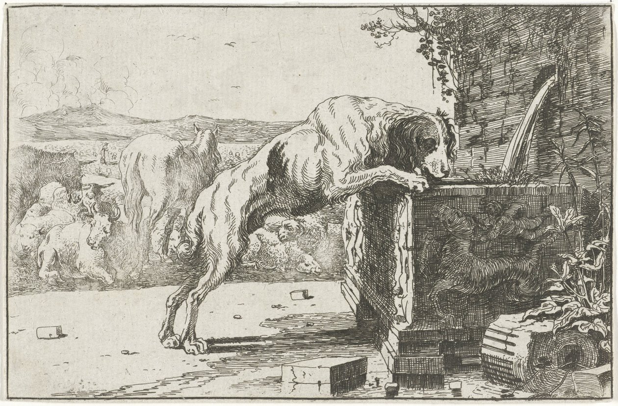 Pies przy fontannie Zwierzęta (tytuł serii) Zoografia (tytuł serii) autorstwa Jan van den Hecke