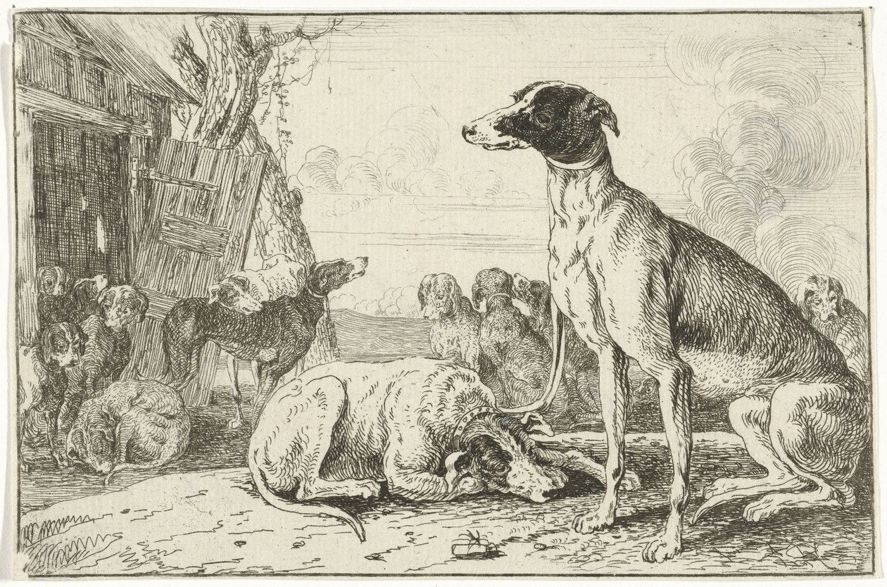 buda dla psów Zwierzęta (tytuł serii) Zoografia (tytuł serii) autorstwa Jan van den Hecke