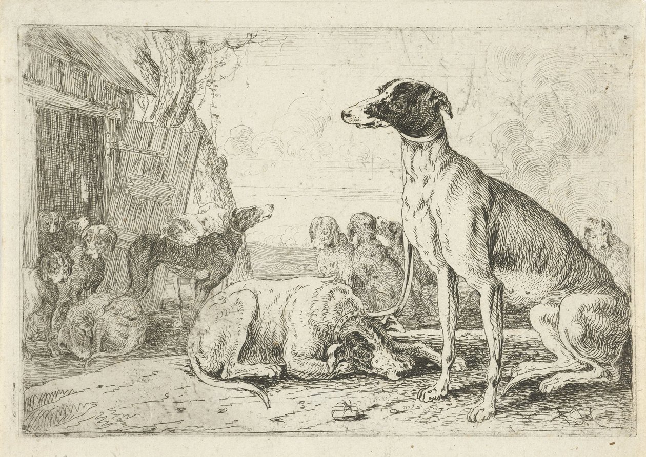 buda dla psów Zwierzęta (tytuł serii) Zoografia (tytuł serii) autorstwa Jan van den Hecke