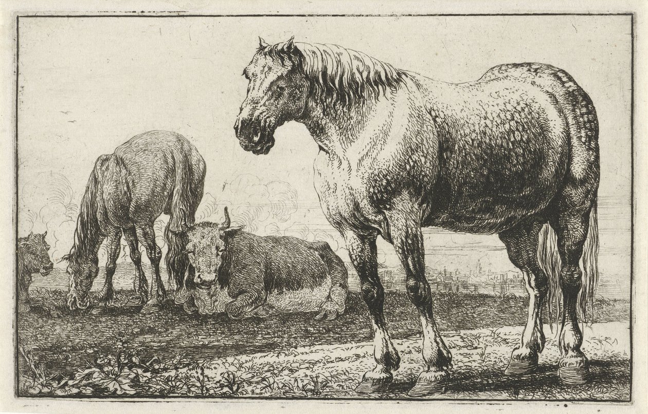 Konie i krowy Zwierzęta (tytuł serii) Zoografia (tytuł serii) autorstwa Jan van den Hecke