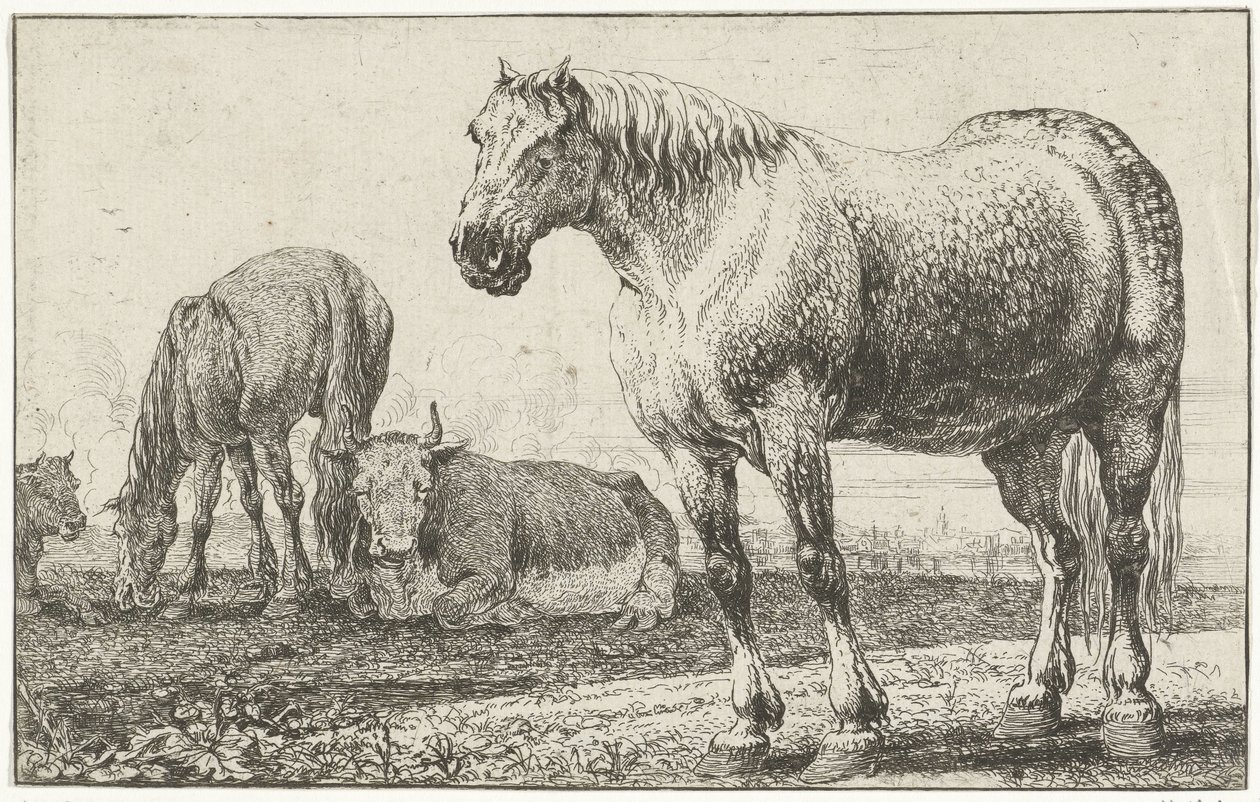 Konie i krowy Zwierzęta (tytuł serii) Zoografia (tytuł serii) autorstwa Jan van den Hecke