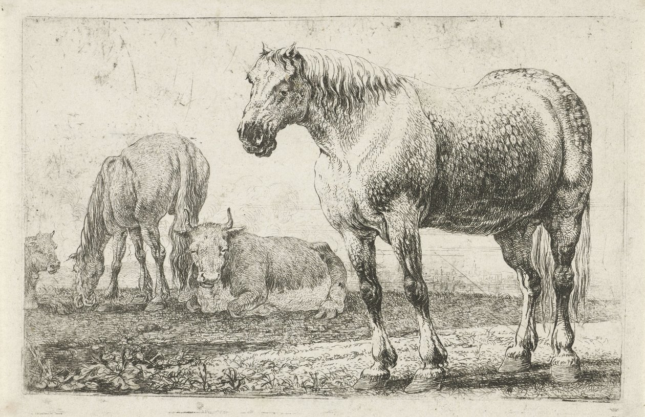 Konie i krowy Zwierzęta (tytuł serii) Zoografia (tytuł serii) autorstwa Jan van den Hecke