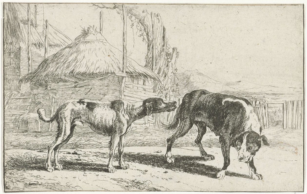 Mężczyzna i kobieta Zwierzęta (tytuł serii) Zoografia (tytuł serii) autorstwa Jan van den Hecke