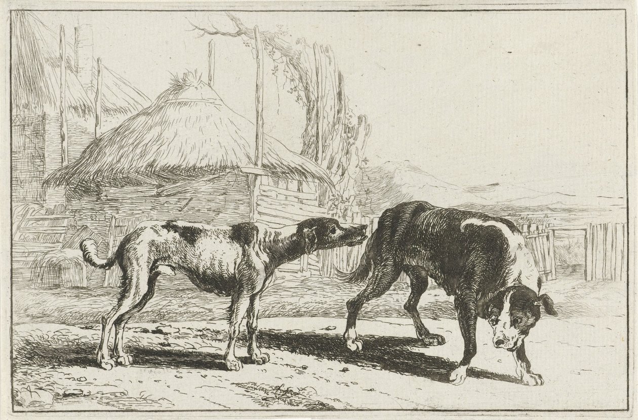 Mężczyzna i kobieta Zwierzęta (tytuł serii) Zoografia (tytuł serii) autorstwa Jan van den Hecke