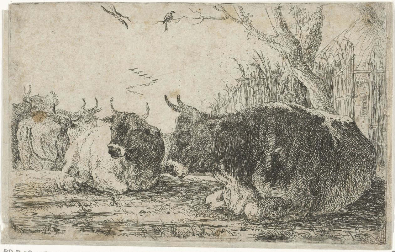 odpoczywające krowy Zwierzęta (tytuł serii) Zoografia (tytuł serii) autorstwa Jan van den Hecke