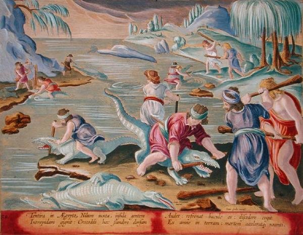 Zabijanie krokodyli za pomocą kijów i maczug, płyta 88 z „Venationes Ferarum, Avium, Piscium” (O polowaniu: dzikie zwierzęta, ptaki, ryby) grawerowane przez Jana Collaerta (1566-1628) opublikowane przez Phillipusa Gallaeusa z Amsterdamu (ręcznie kolorowane autorstwa Jan van der (1523 1605) (after) Straet