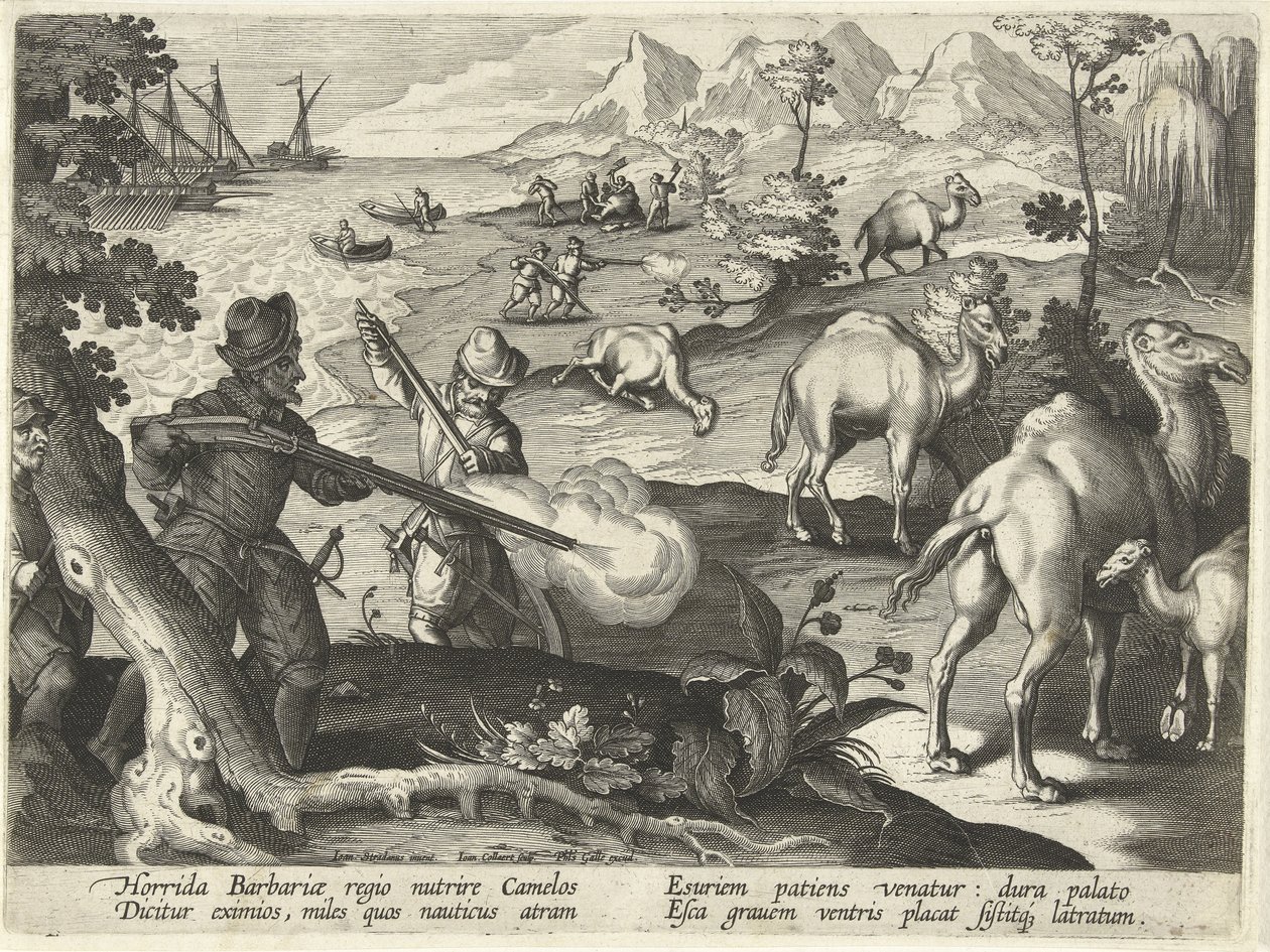Marynarze w okropnym kraju barbarzyńców zabijają wielbłądy muszkietami, aby zaspokoić głód, ilustracja z „Venationes, Ferarum, Avium, Piscium” (O polowaniu: dzikie zwierzęta, ptaki, ryby), ryt. Jan Collaert (1566-1628), wyd. przez Phillipusa Gallaeusa, Ams autorstwa Jan van der (1523 1605) Straet