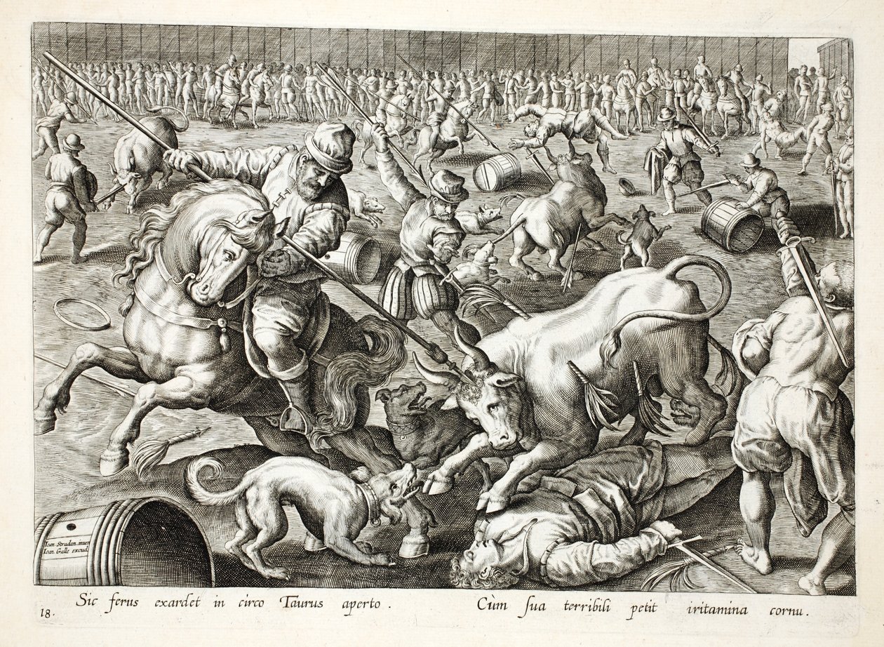 Masowa walka byków w zagrodzie, ilustracja z „Venationes, Ferarum, Avium, Piscium” (O polowaniach: dzikie zwierzęta, ptaki, ryby), sztych. Jan Collaert (1566-1628), wyd. przez Phillipusa Gallaeusa, Amst autorstwa Jan van der Straet