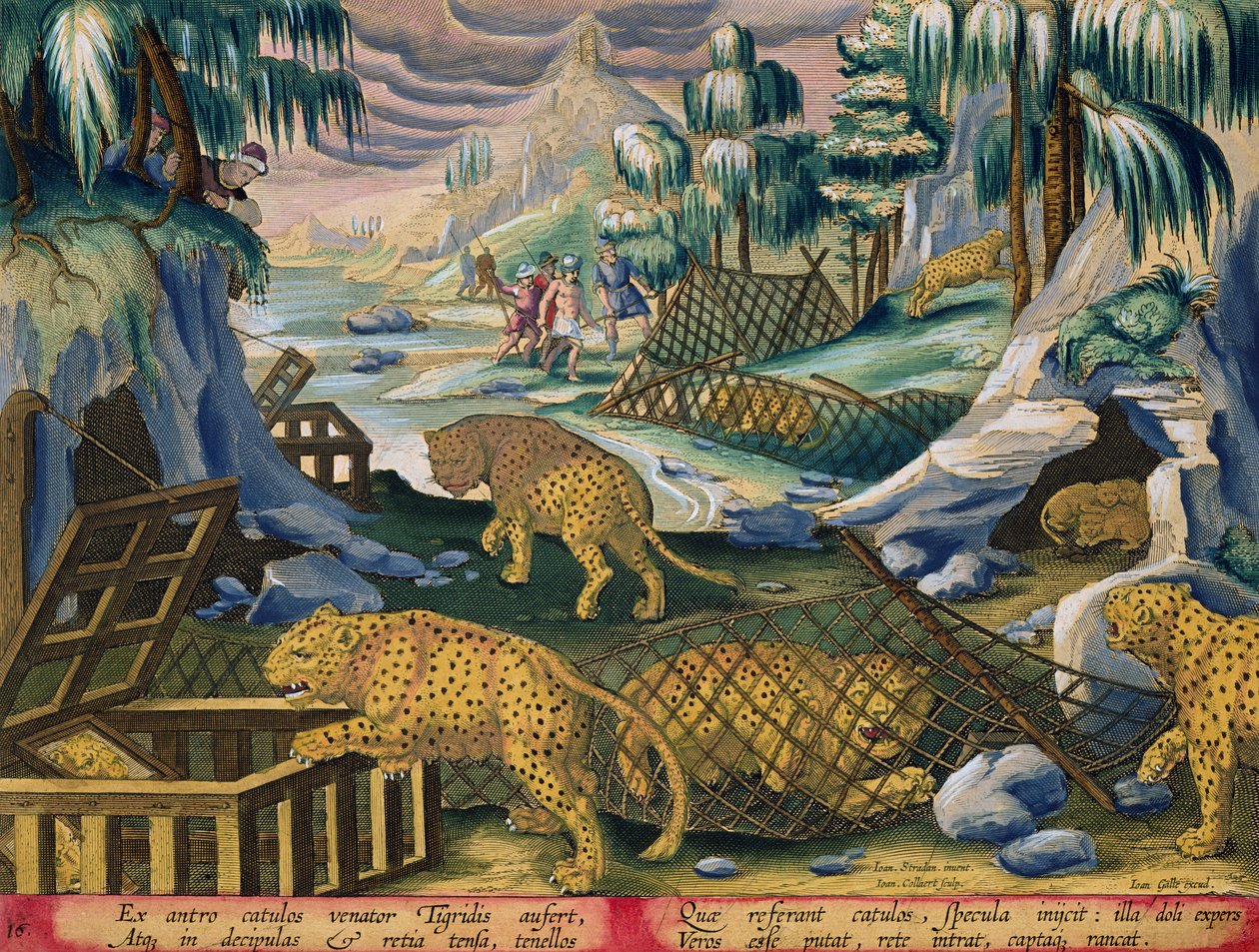 Uchwycenie lampartów za pomocą sieci i klatek z przynętą lusterkami, płyta 15 z „Venationes Ferarum, Avium, Piscium” (O polowaniu: dzikie zwierzęta, ptaki, ryby) ryt. Jan Collaert (1566-1628) s. autorstwa Jan van der Straet