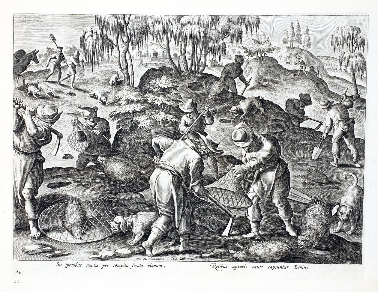 Wykopywanie i chwytanie jeżozwierzy, tablica 54, ilustracja z "Venationes, Ferarum, Avium, Piscium" (O polowaniu: dzikie zwierzęta, ptaki, ryby), rycina Jana Collaerta (1566-1628), wyd. Phillipus autorstwa Jan van der Straet