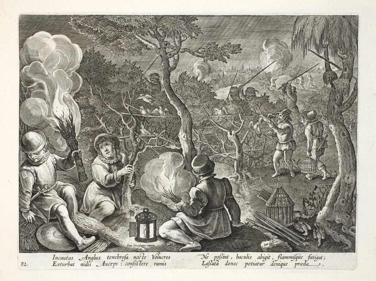 Ptactwo łapiące ptaki nocą, ilustracja z „Venationes, Ferarum, Avium, Piscium” (Polowanie: Dzikie zwierzęta, Ptaki, Ryby), ryt. Jan Collaert (1566-1628), wyd. przez Phillipusa Gallaeusa, Amste autorstwa Jan van der Straet