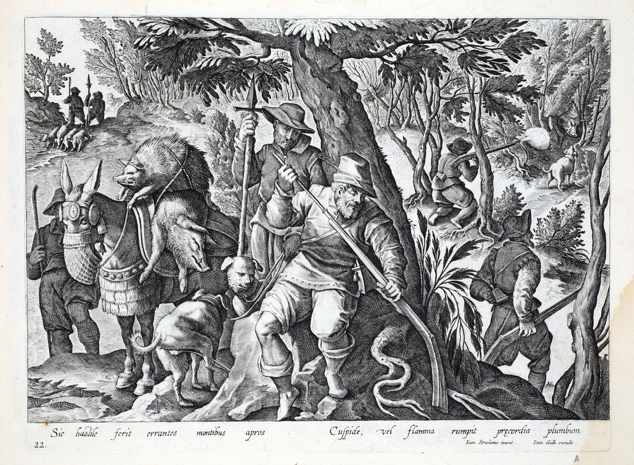 Łowcy używają włóczni lub pistoletów naładowanych ołowiem do polowania na dzika górskiego, ilustracja z „Venationes, Ferarum, Avium, Piscium” (O polowaniu: dzikie zwierzęta, ptaki, ryby), rycina Jan Collaert (1566-1628), autorstwa Jan van der Straet