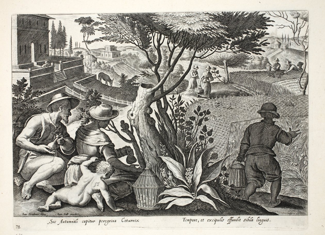 Polowanie na przepiórki, ilustracja z "Venationes, Ferarum, Avium, Piscium" (O polowaniu: dzikie zwierzęta, ptaki, ryby), rycina Jana Collaerta (1566-1628), wyd. Phillipus Gallaeus, Amsterdam autorstwa Jan van der Straet