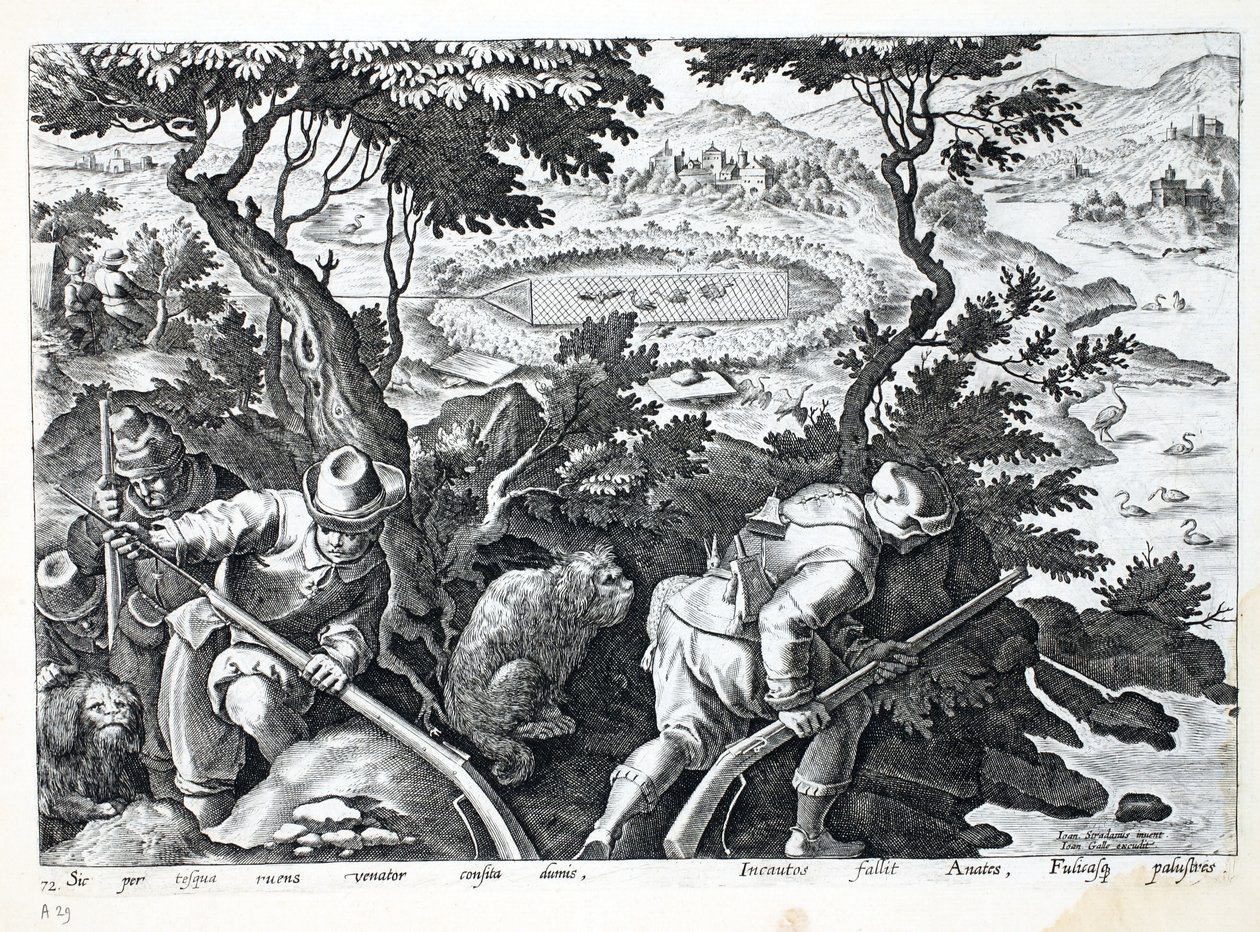Polowanie na kaczki, ilustracja z "Venationes, Ferarum, Avium, Piscium" (O polowaniu: dzikie zwierzęta, ptaki, ryby), rycina Jana Collaerta (1566-1628), wydana przez Phillipusa Gallaeusa, Amsterdam (grawerunek autorstwa Jan van der Straet