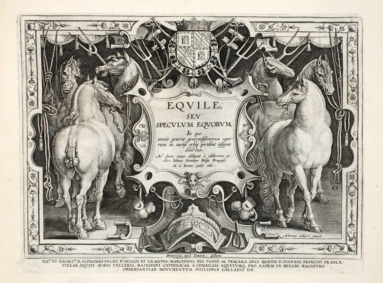Ilustracja z „Venationes, Ferarum, Birds, Fish” (O polowaniach: dzikie zwierzęta, ptaki, ryby), sztych. Jan Collaert (1566-1628), wyd. autorstwa Phillipusa Gallaeusa, Amsterdam autorstwa Jan van der Straet