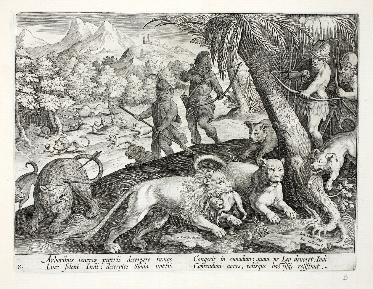 Indianie strzelają do lwów ze strzałami, które chwytają małpy w pyski, ilustracja z „Venationes, Ferarum, Avium, Piscium” (O polowaniu: dzikie zwierzęta, ptaki, ryby), rytowana przez Jana Collaerta (15 autorstwa Jan van der Straet