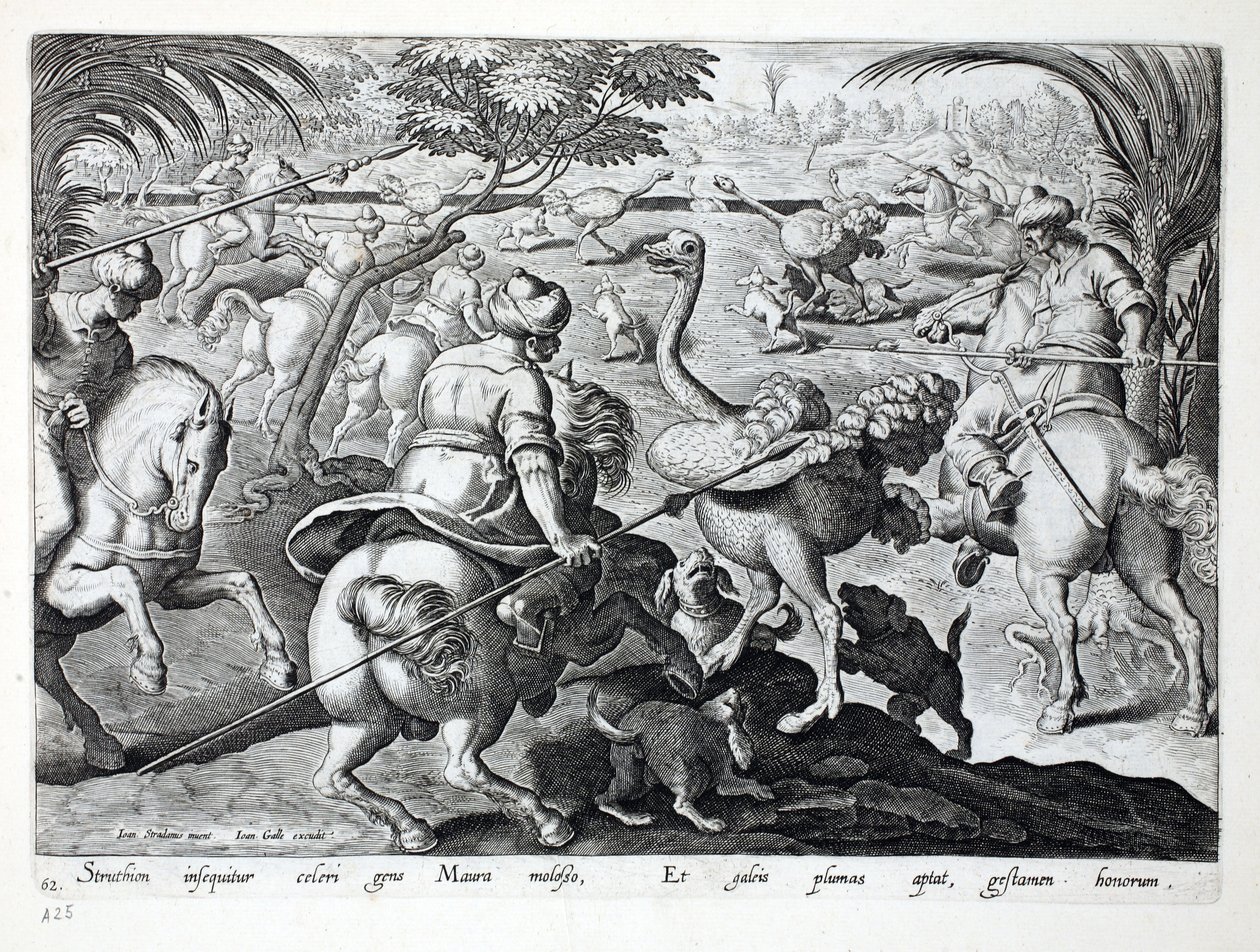 Wrzosowiska na koniu polują na strusie, tablica 62, ilustracja z „Venationes, Ferarum, Avium, Piscium” (Polowanie: Dzikie zwierzęta, Ptaki, Ryby), sztych. Jan Collaert (1566-1628), wyd. przez Phillipusa autorstwa Jan van der Straet
