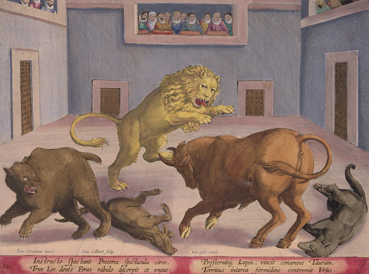 Noblemen Watch Combat of Wild Beasts in Indoor Circus, tablica 12 z 