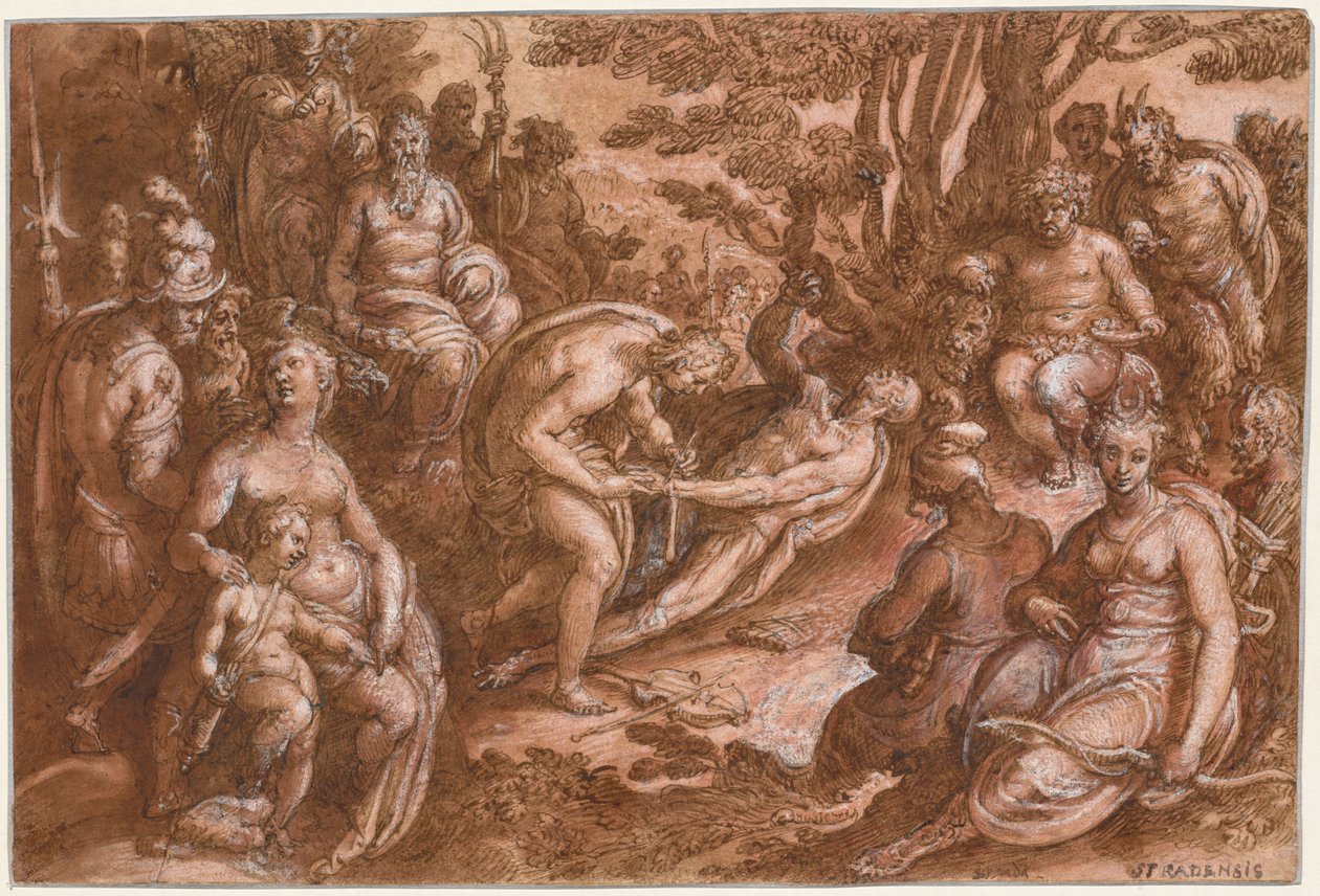 Obdzieranie ze skóry Marsjasza autorstwa Jan van der Straet, called Johannes Stradanus