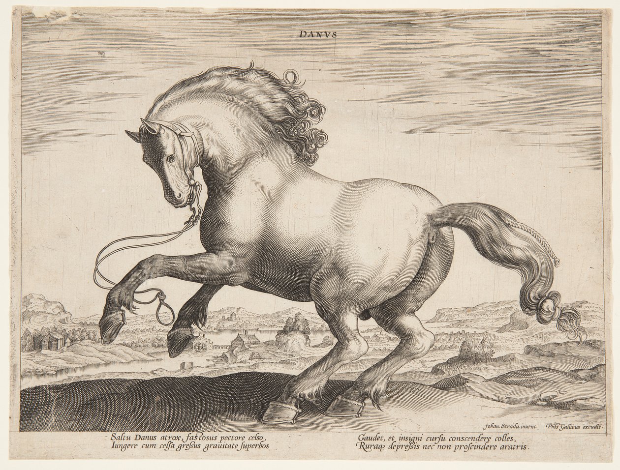 Koń duński, z czwartego zestawu „Equile Joannis Austriaci” autorstwa Jan van der Straet, called Stradanus