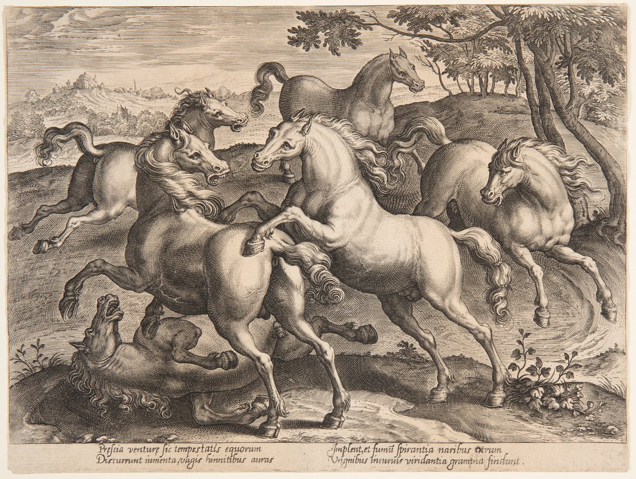 Konie Bojowe, z czwartego zestawu "Equile Joannis Austriaci" autorstwa Jan van der Straet, called Stradanus