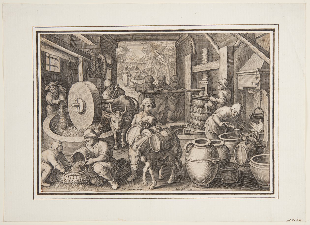 Oleum Olivarum (Produkcja oliwy z oliwek), płyta 12 w Nova Reperta (Nowe wynalazki współczesności) autorstwa Jan van der Straet, called Stradanus