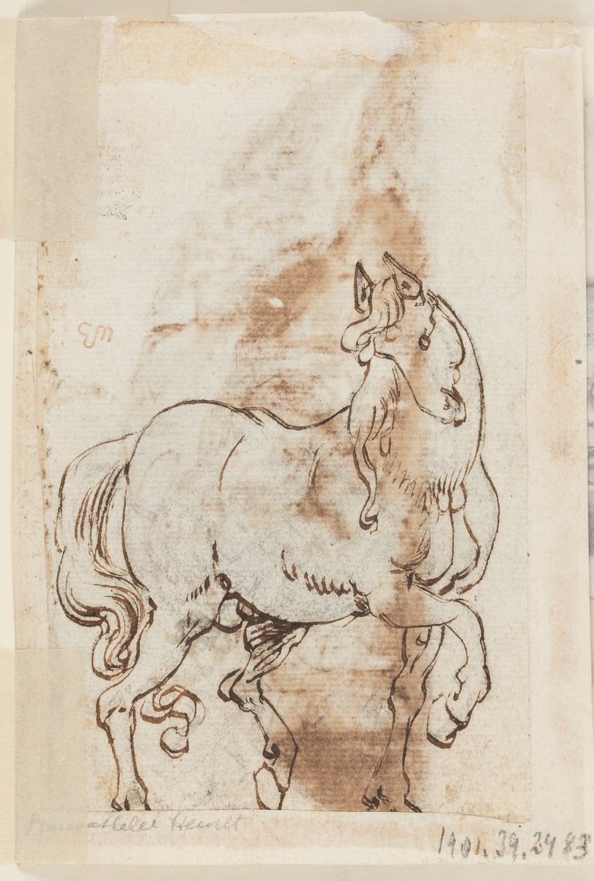 Strona książki do rysowania; Studium do malarstwa św. Magdaleny; Ogier autorstwa Jan van der Straet, called Stradanus