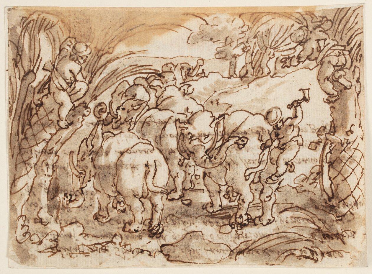 Recto: Słonie ścigane przez troglodytów [Jaskiniowcy]; Verso: inskrypcja odnosząca się do Historii Naturalnej Pliniusza Starszego, księga 8, rozdz. 8 autorstwa Jan van der Straet, called Stradanus