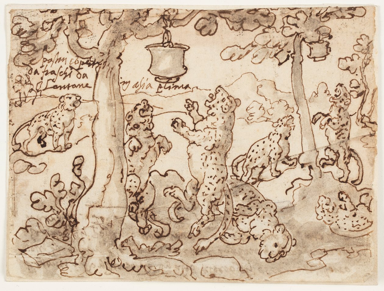 Pułapka Pantery autorstwa Jan van der Straet, called Stradanus