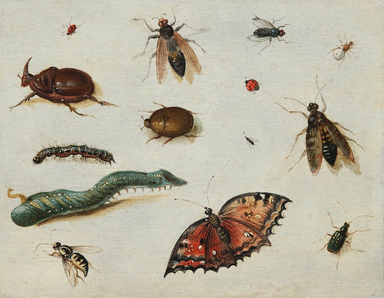 „Owady” (Owady) Obraz Jana Van Kessel Starszego (1626-1679) Olej na desce Wym. 13x16,5 cm Fondation Custodia autorstwa Jan van the Elder Kessel