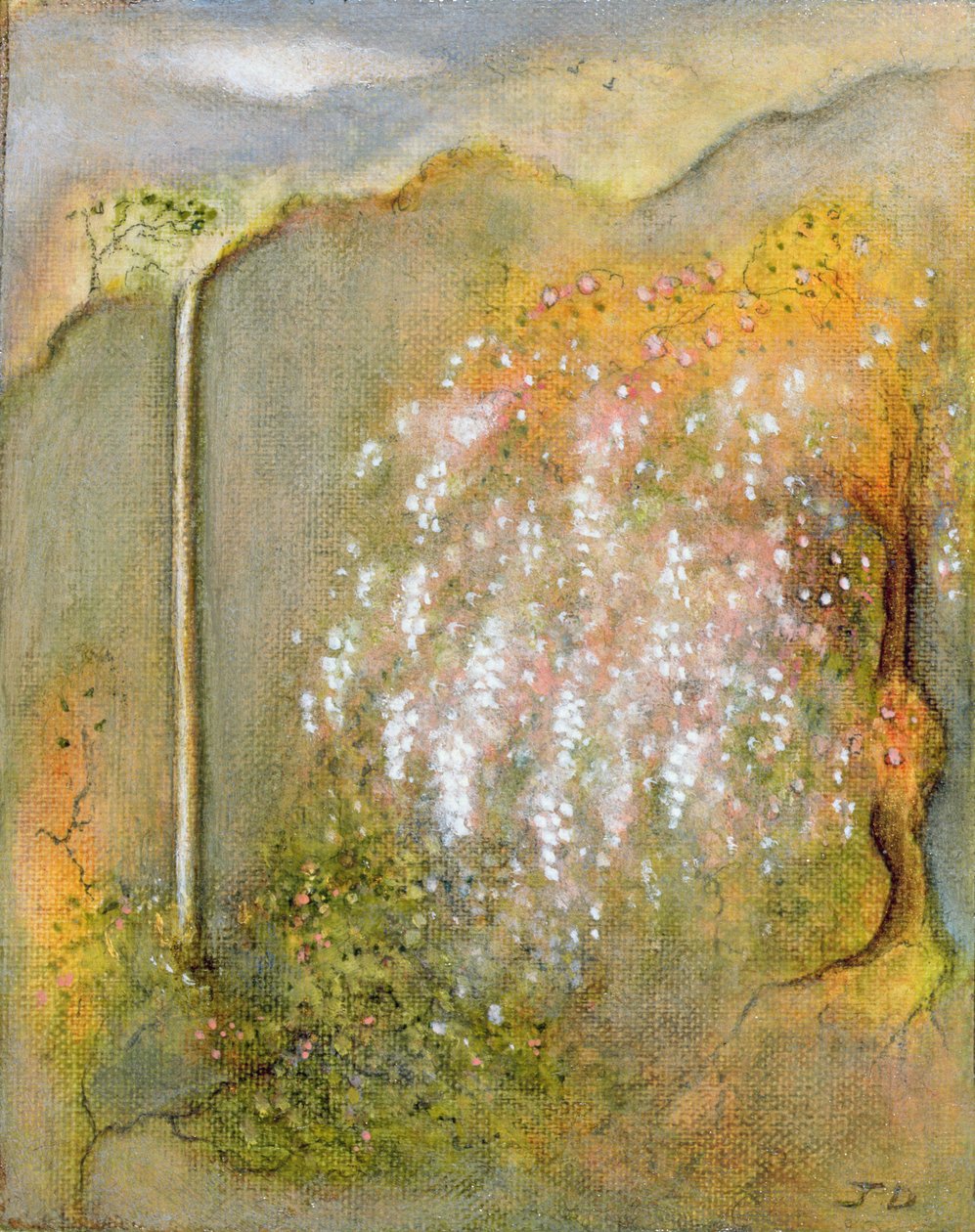 Biała Wisteria, 2001 autorstwa Jane Deakin