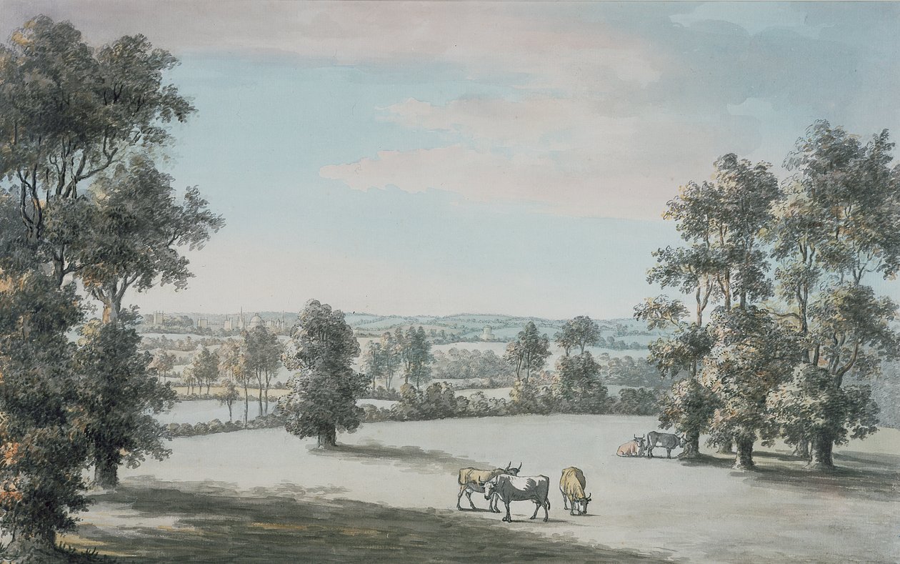 Oxford z południa, 1786 (pióro i atrament i toaleta na papierze) autorstwa Jane Mary Oglander