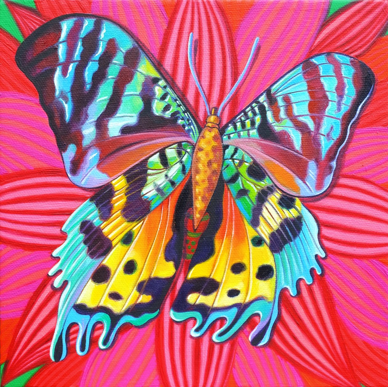 Zachód słońca ćma, 2014, autorstwa Jane Tattersfield