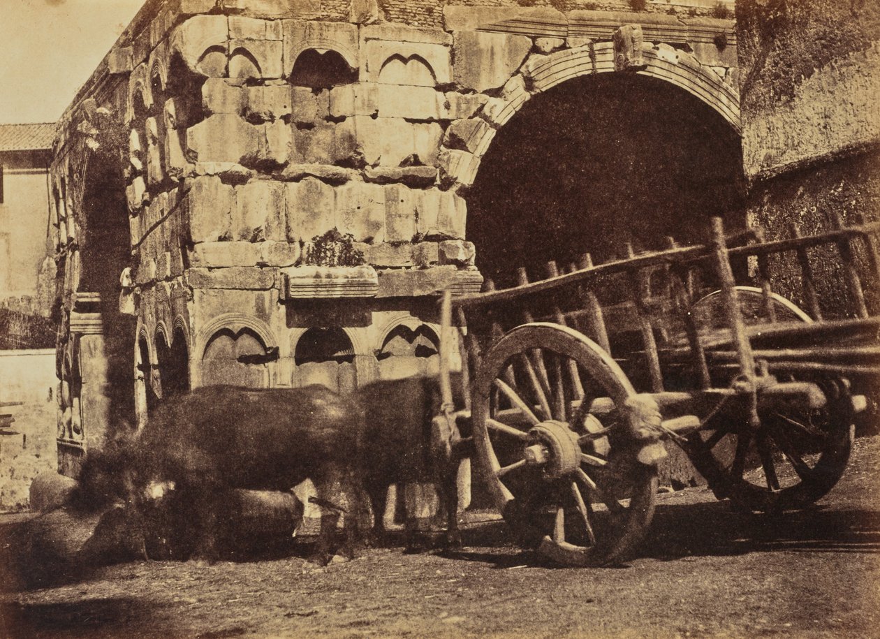 Buffalo Cart, Rzym autorstwa Jane Martha St. John