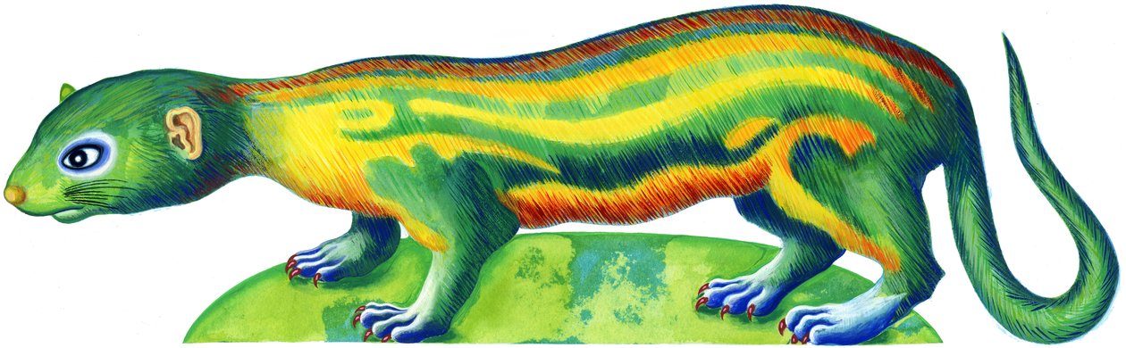 Fretka, 1996, (atrament i gwasz) autorstwa Jane Tattersfield