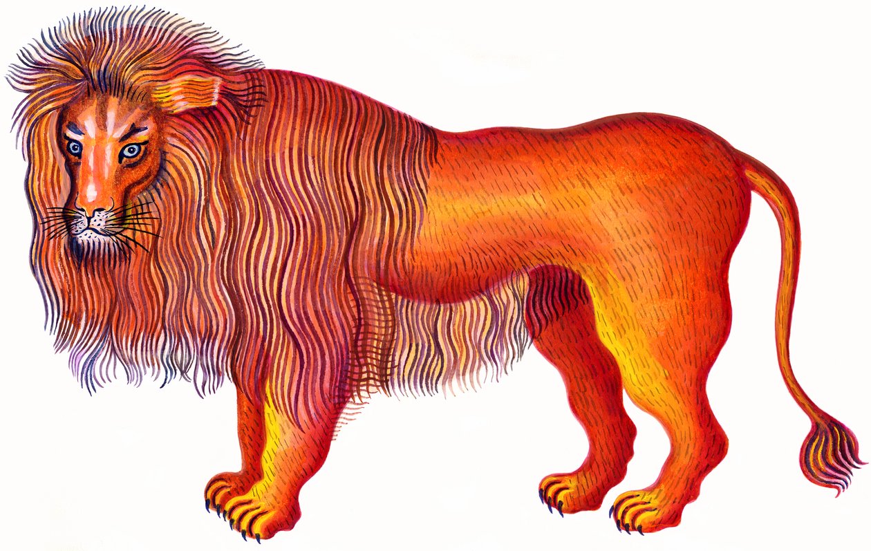 Lew Lew, 1996, (atrament i gwasz) autorstwa Jane Tattersfield