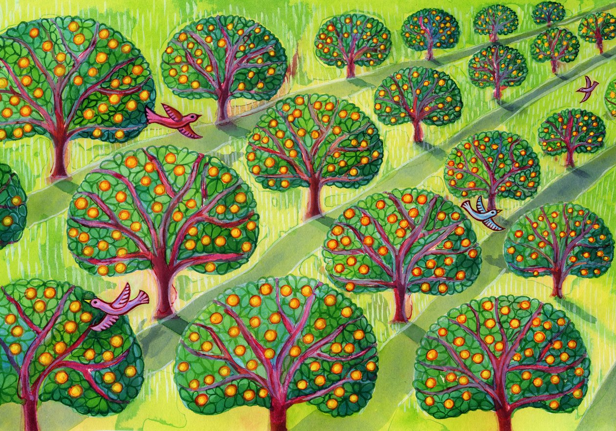 sad owocowy autorstwa Jane Tattersfield
