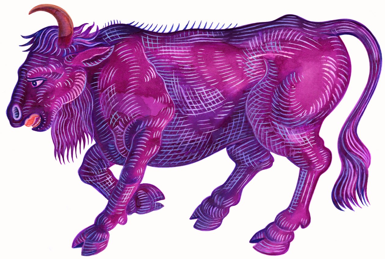 Wściekły Byk Byk, 1996, (atrament i gwasz) autorstwa Jane Tattersfield