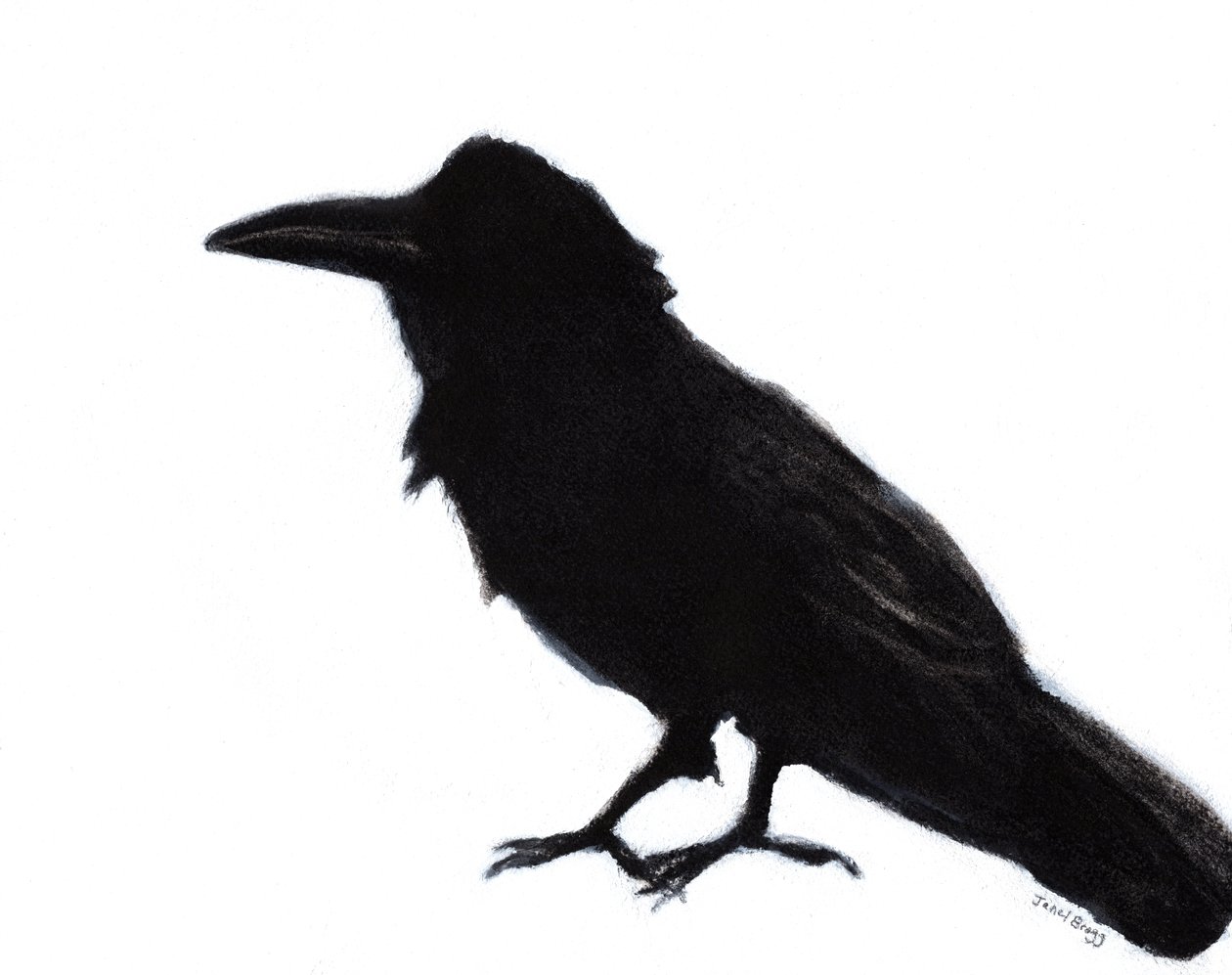 Raven at Baker Beach, ok. 2023 (mieszane media na papierze) autorstwa Janel Bragg