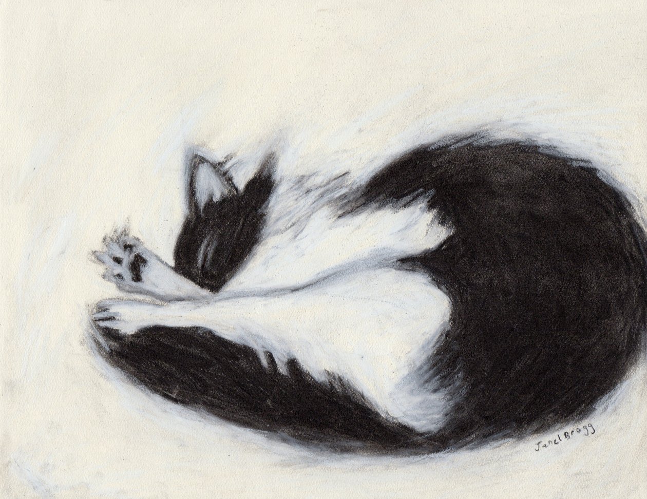 Thomas ucinający sobie drzemkę, ok. 2018 (węgiel i pastel na papierze) autorstwa Janel Bragg
