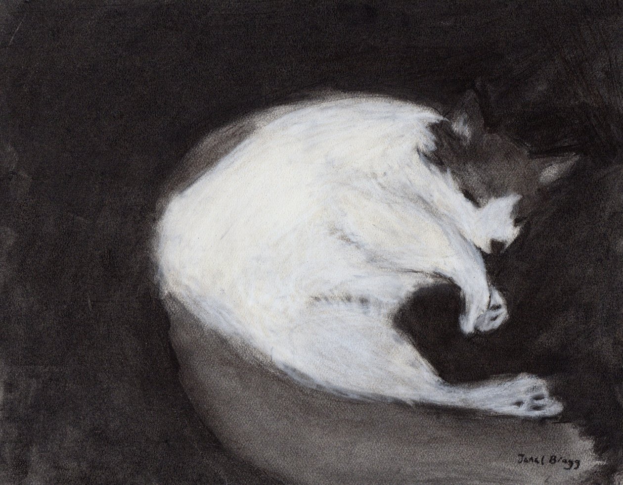 Thomas Taking a Nap, ok. 2018 (węgiel i pastel na papierze) autorstwa Janel Bragg