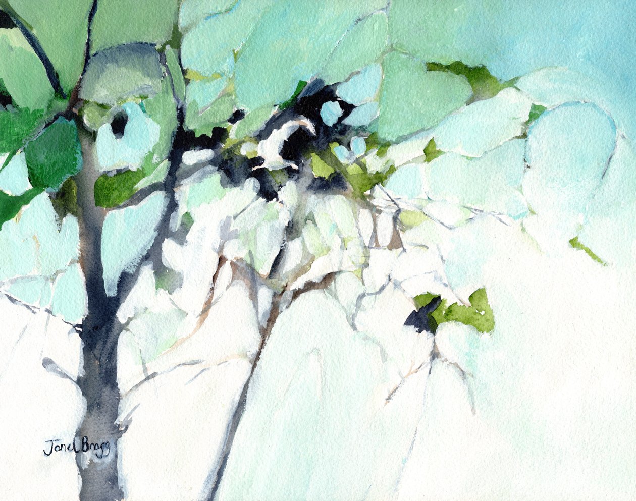  autorstwa Janel Bragg
