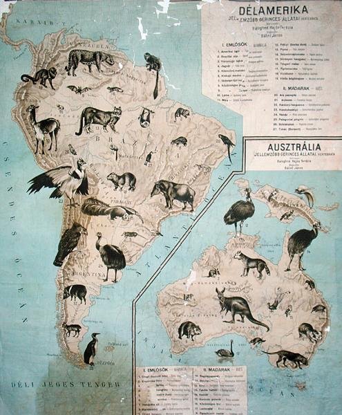 Mapa zwierząt w Ameryce Południowej i Australii autorstwa Janos Balint