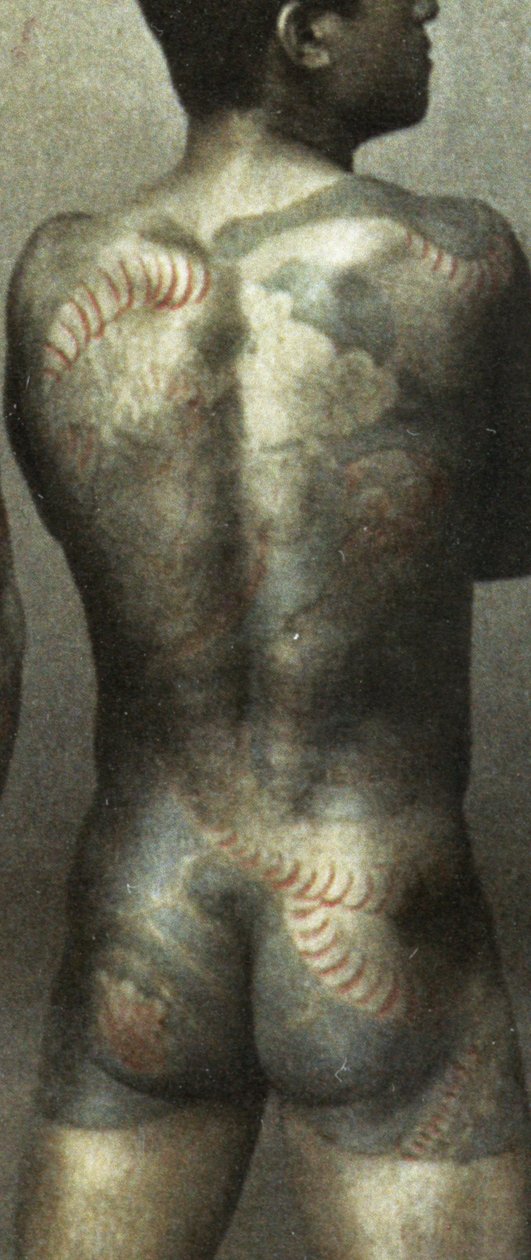 Mężczyzna z tradycyjnym japońskim tatuażem Irezumi, ok. 1880 (zdjęcie ręcznie kolorowanego albumu) (detal 398092) autorstwa Japanese Photographer