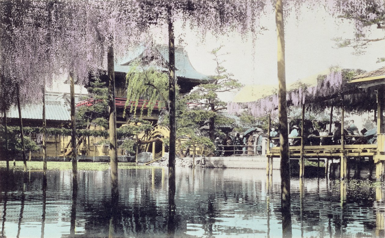 Kwitnąca glicynia nad stawem w ogrodach świątyni Kameido, Tokio, koniec XIX wieku (ręcznie kolorowane zdjęcie) (patrz także 172943) autorstwa Japanese Photographer